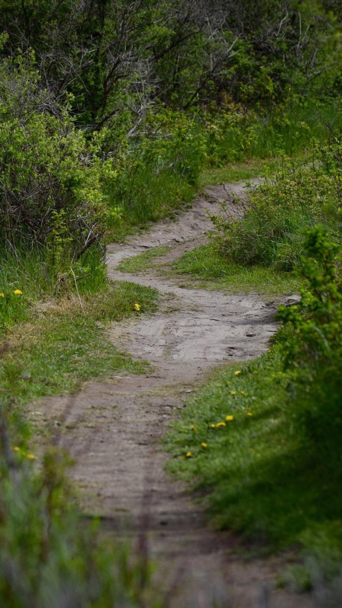 39050557_923021537897128_1756108747471585280_n