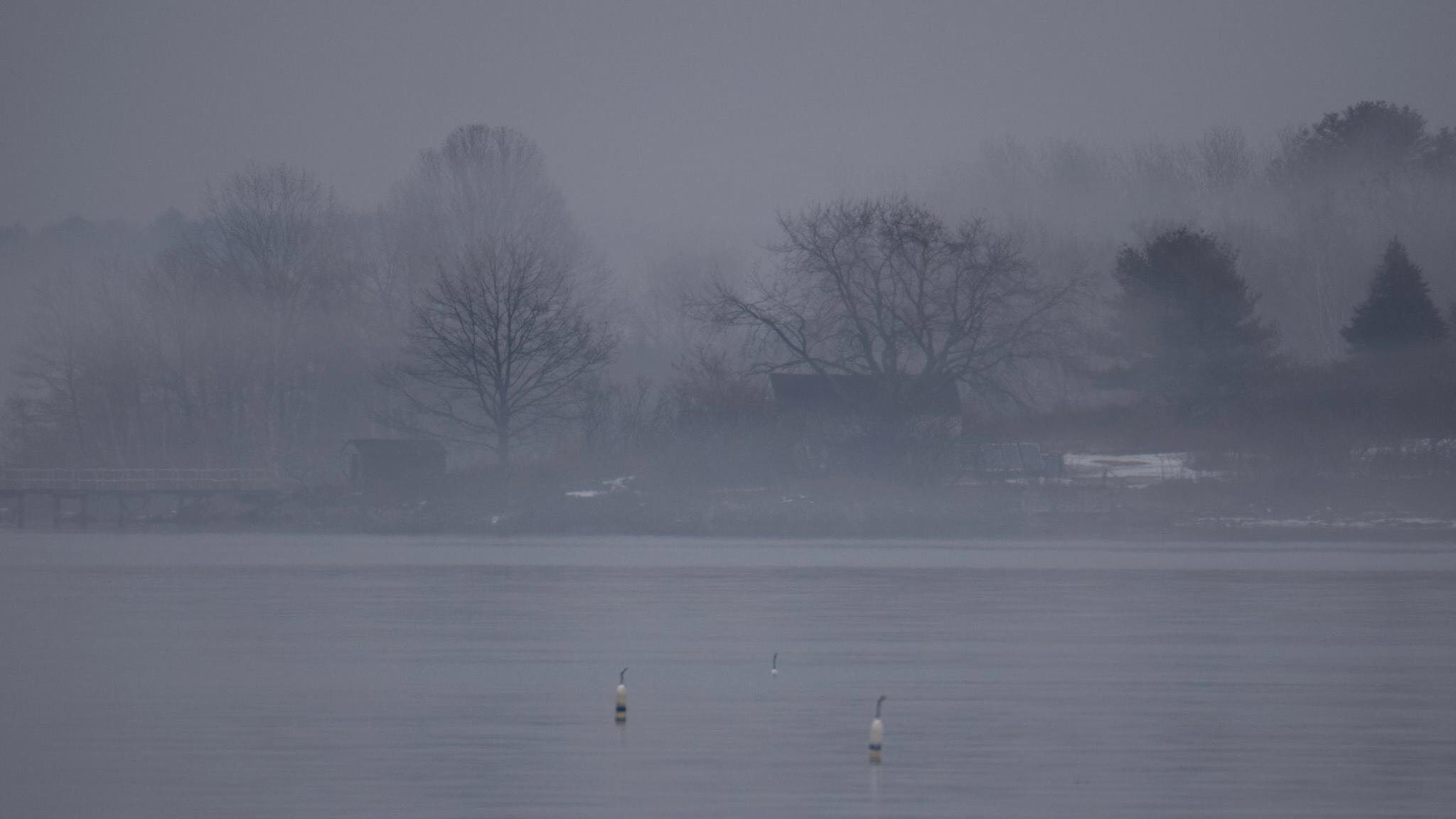 38814301_683603401989273_556548403450871808_n