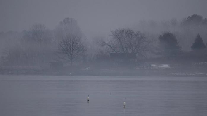 38814301_683603401989273_556548403450871808_n